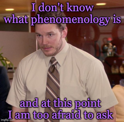 A still from Parks and Recreation of character Andy Dwyer sporting a button up short sleeve shirt and a tie looking bashful with purple top text reading “I dont know what phenomenology is” and purple bottom text reading “and at this point I am too afraid to ask.”